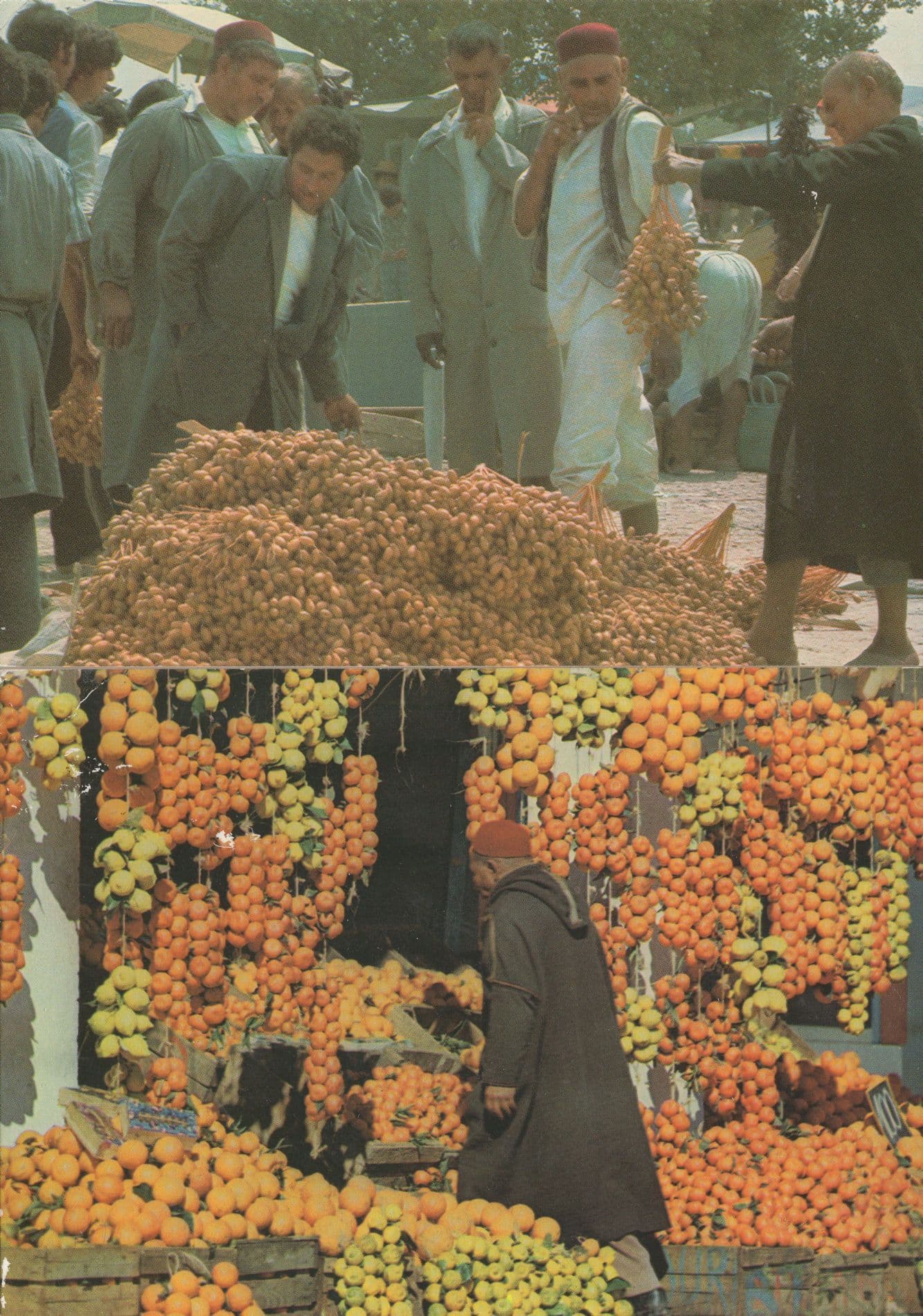 Tunis Orange Fruits Lemons Dates Traders French Market 2x Postcard s