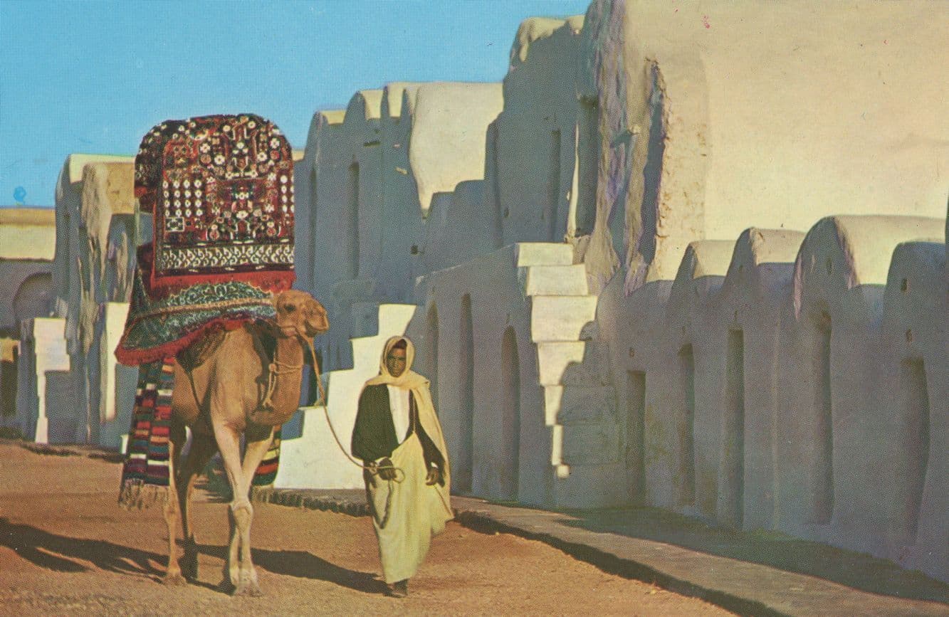 Tunis Tunisee Place Bab Saddoun African Rare Postcard