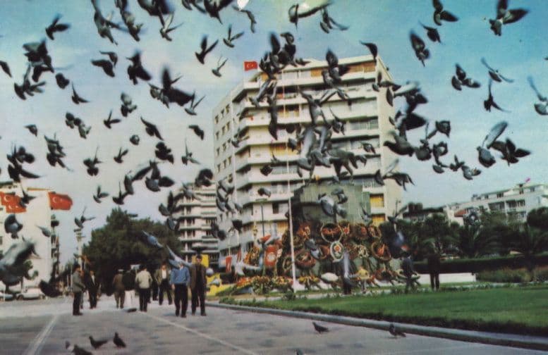 Turkey Birds Going Crazy in Republic Square At Victoria Statue Postcard