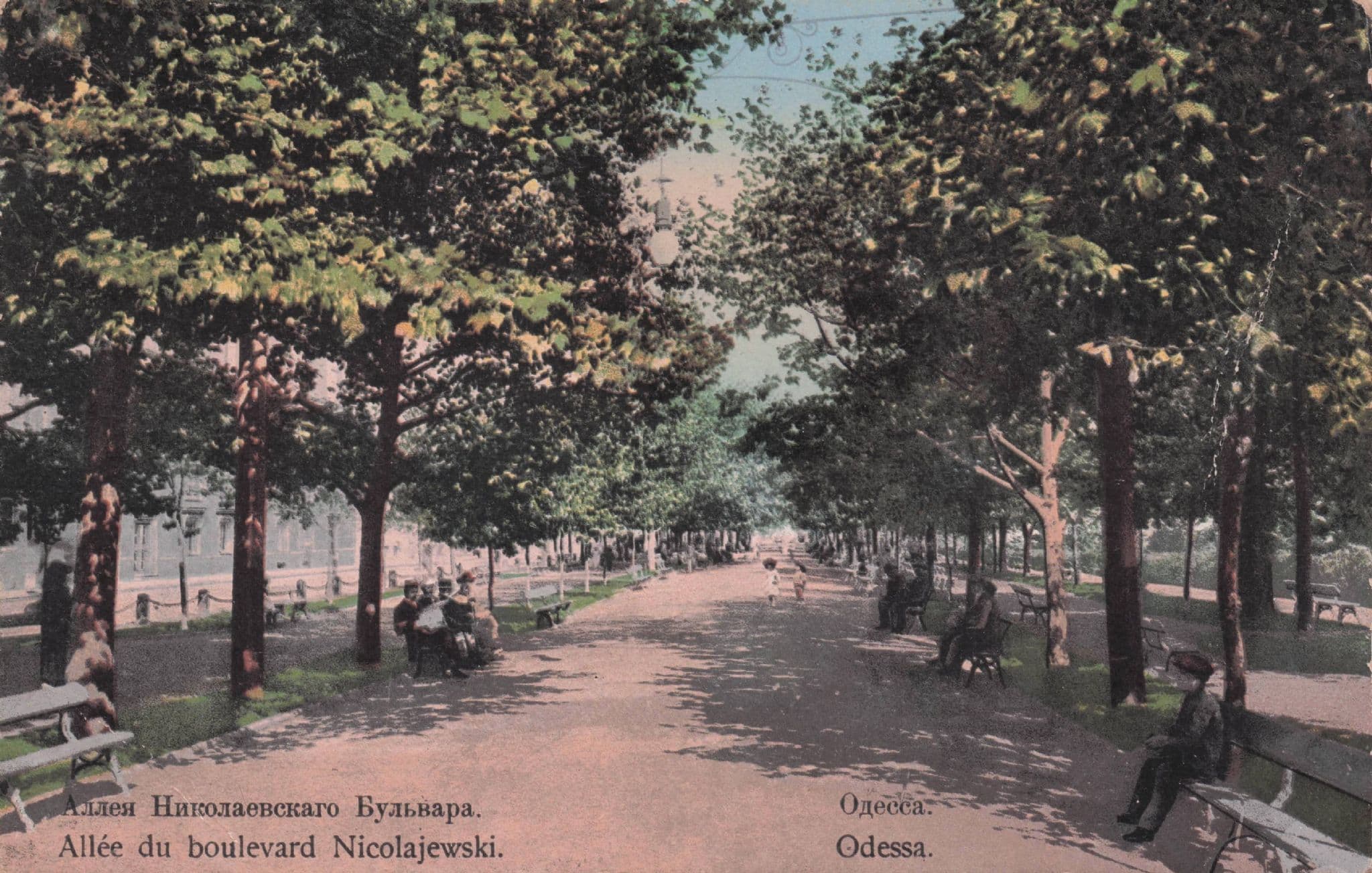 Ukraine Alee Du Boulevard Nicolajewski Old Postcard