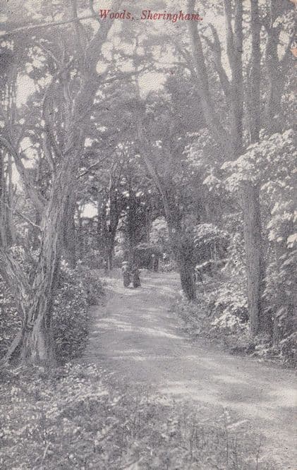 Upper Class Ladies in Sheringham Woods Norfolk Old Postcard