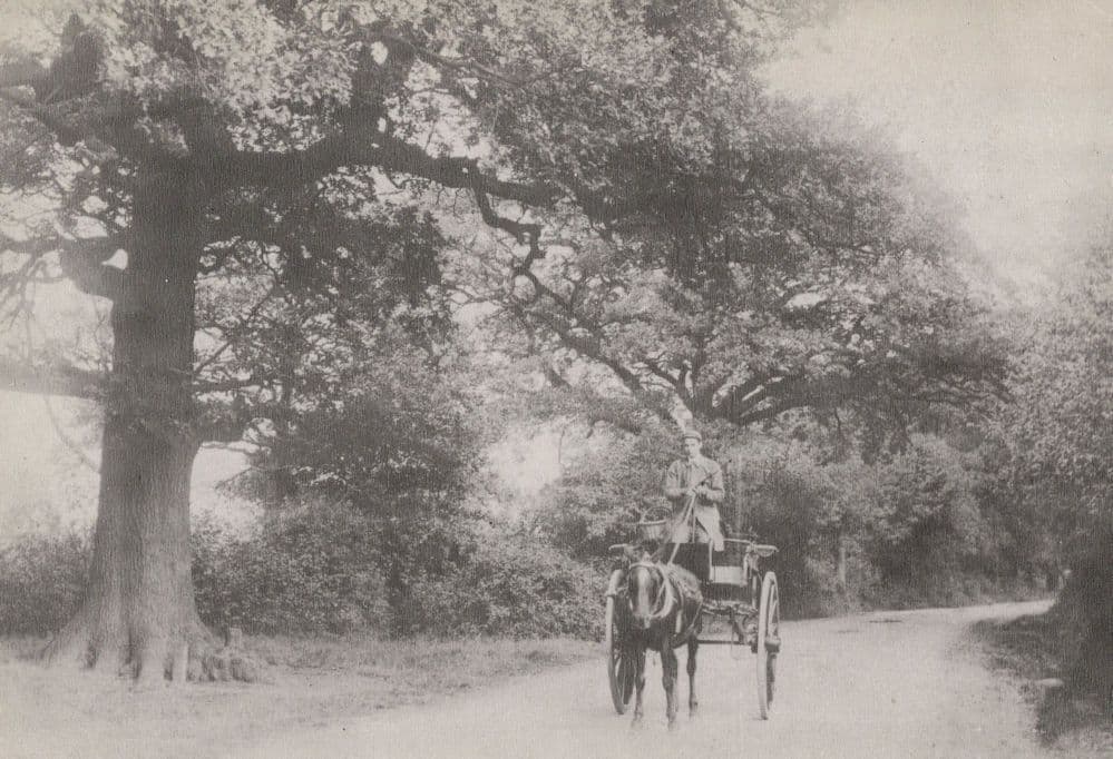 Upper Class Ride Horse & Cart Hall Lane Upminster Essex Postcard