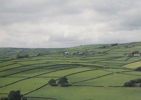 Upper Holme Valley Spectacular Yorkshire Field Patterns Postcard