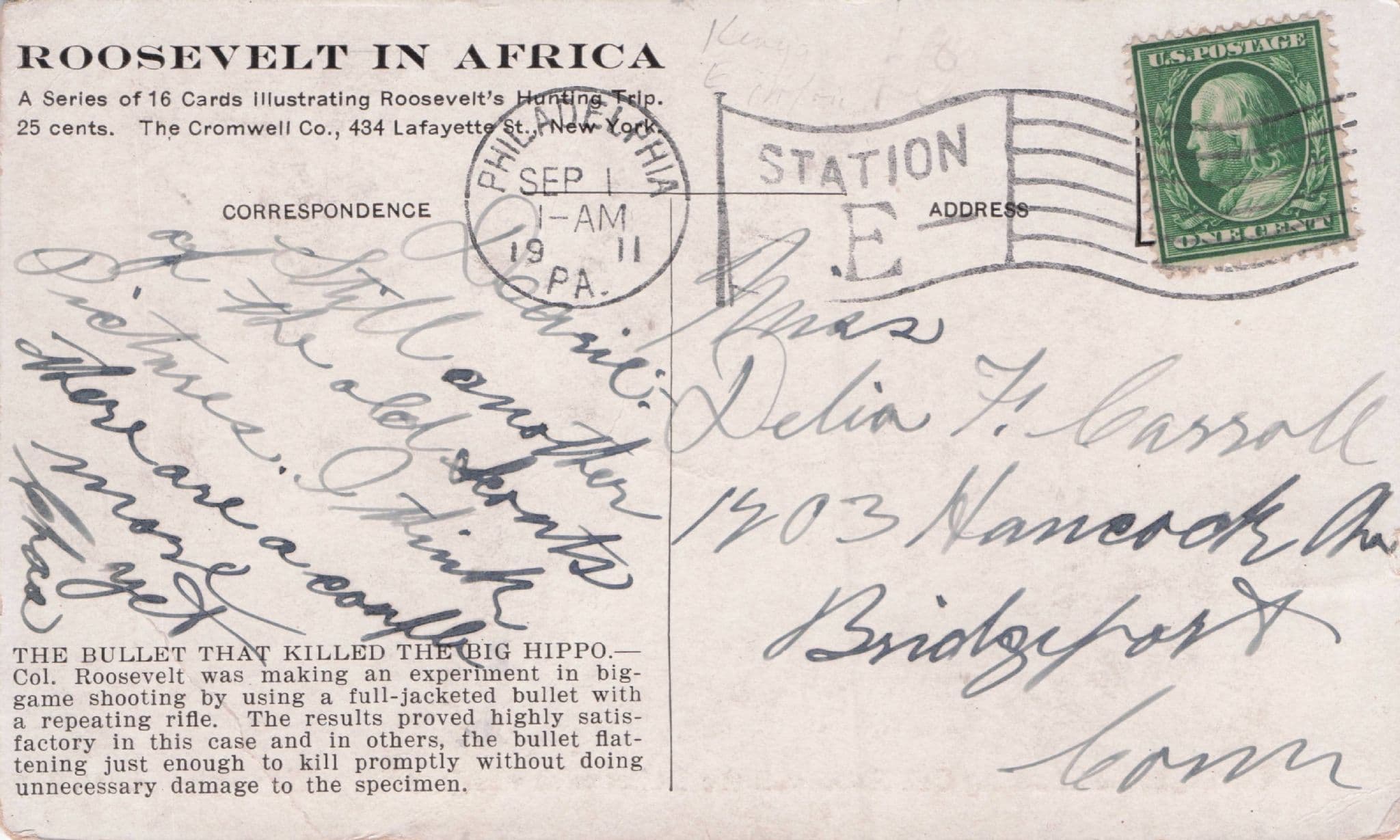 USA President Col Roosevelt Bullet Fired Animal Hunting At Africa Old Postcard