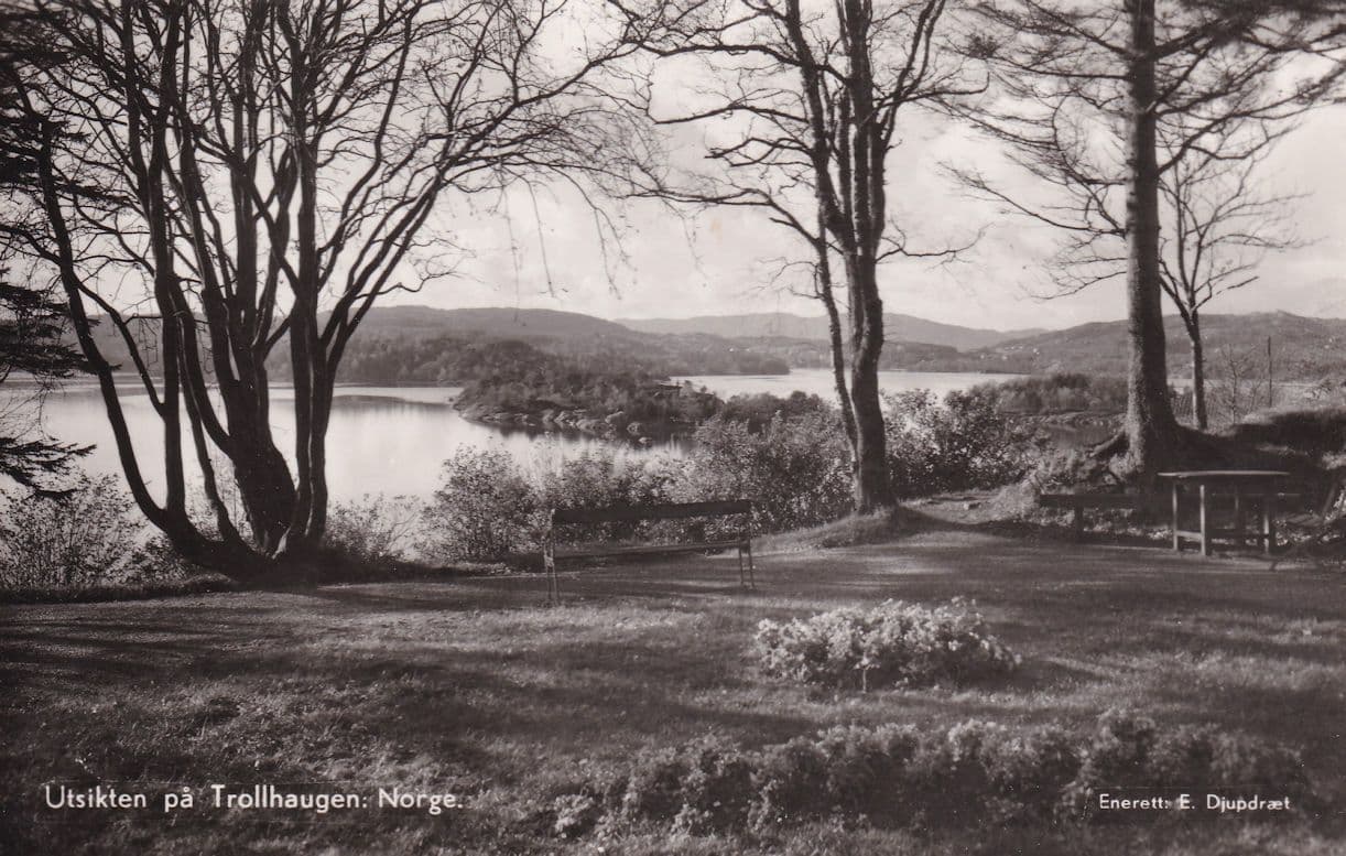 Utsikten Pa Trollhaugen Real Photo Norge Norway Postcard