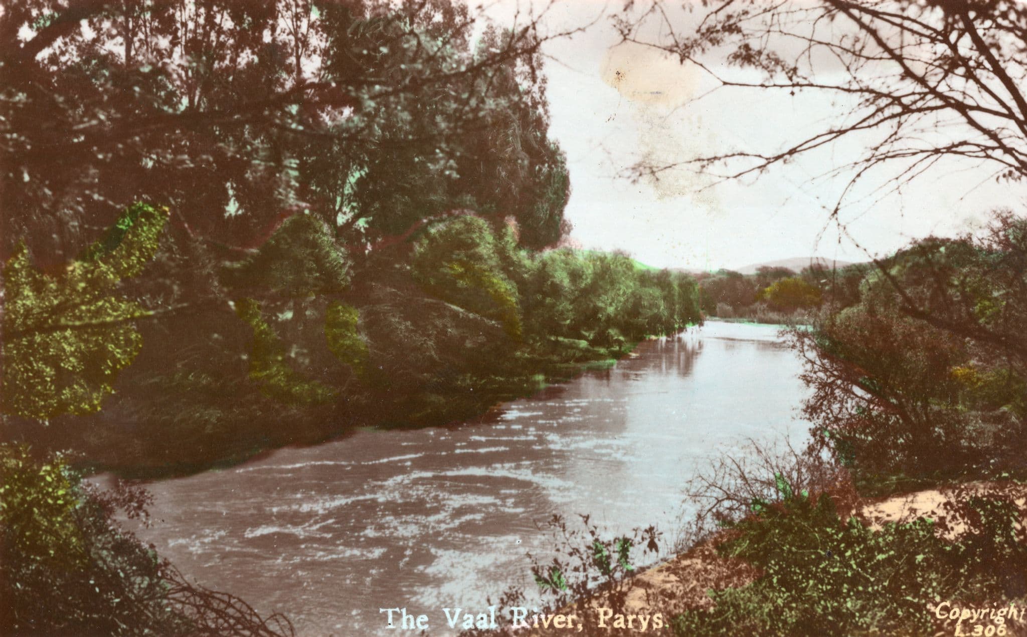 Vaal River Parys New Plymouth Zealand Antique 3x Postcard