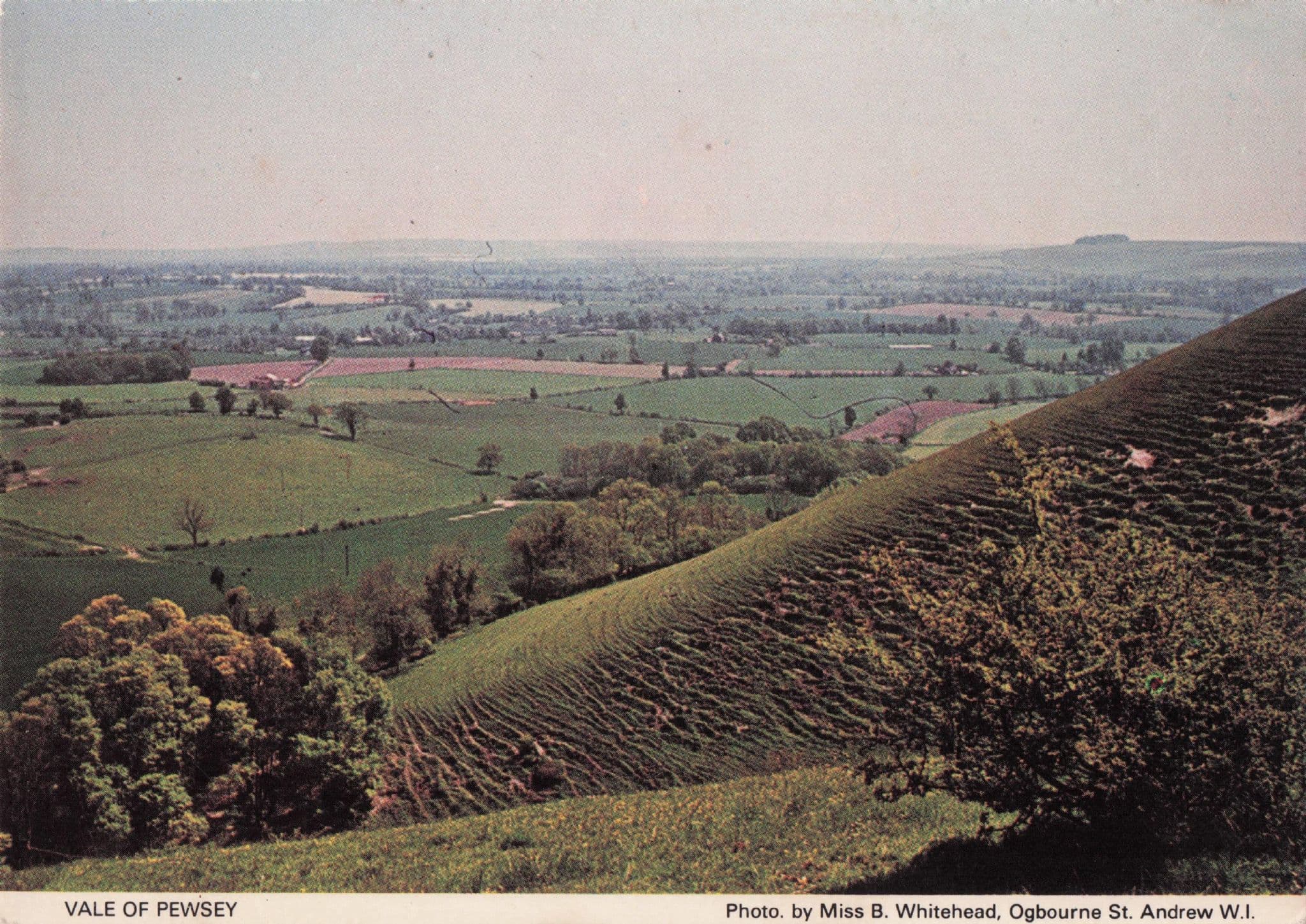 Vale Of Pewsey Wiltshire Women's Institute Aerial Postcard
