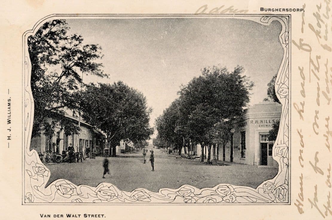 Van Der Walt Street South Africa Antique Postcard