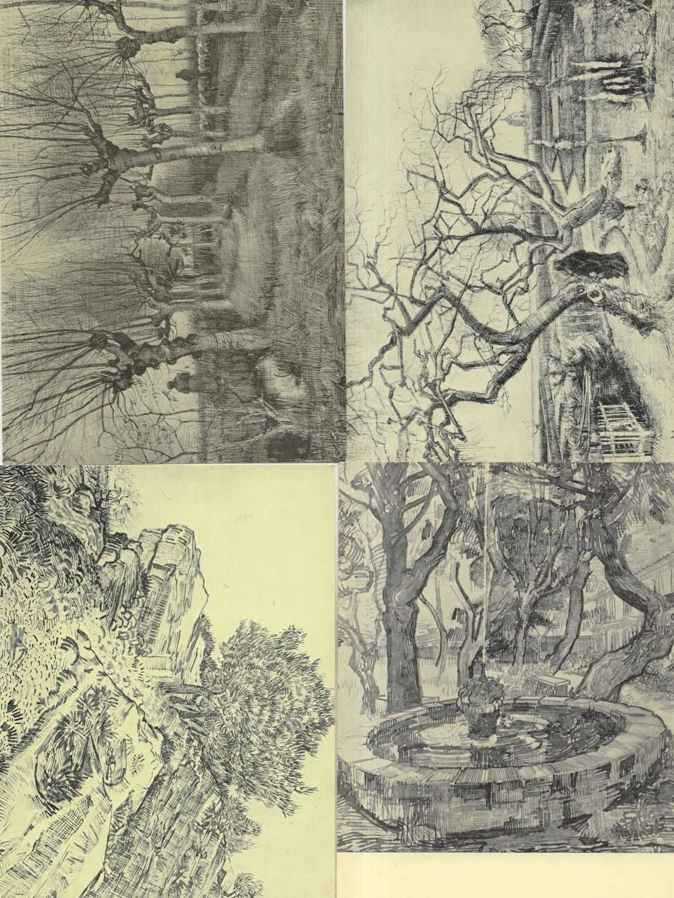 Van Gogh Tree Painting 4x Rare Museum Postcard s