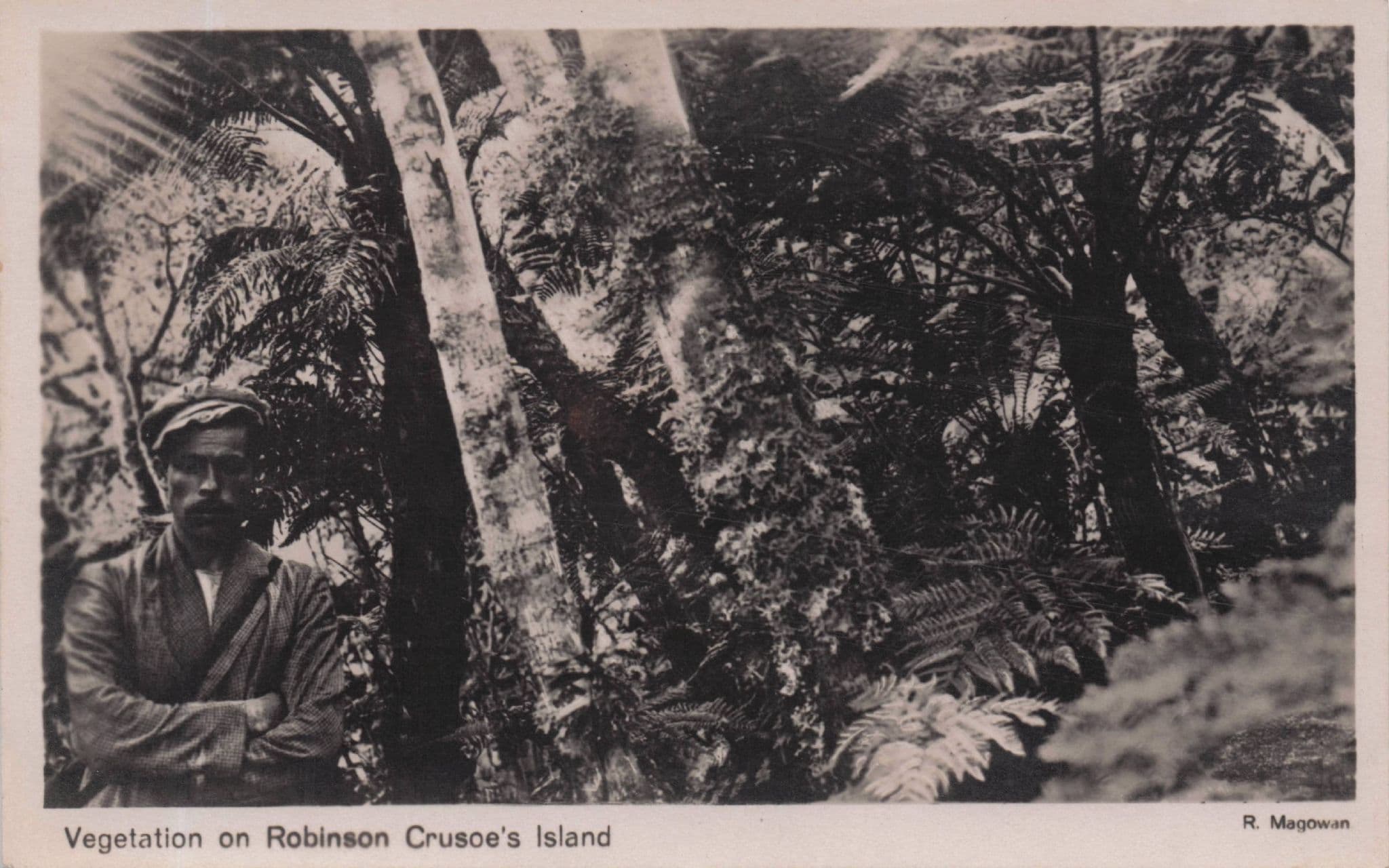 Vegetation at Robinson Crusoe's Island Chile Antique Old Postcard