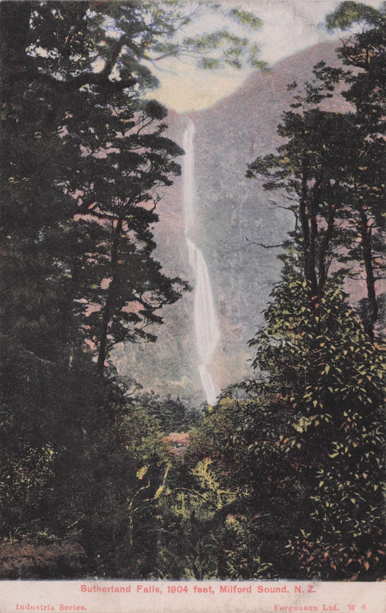 Vertigo 1904 Feet High Sutherland Falls New Zealand Postcard