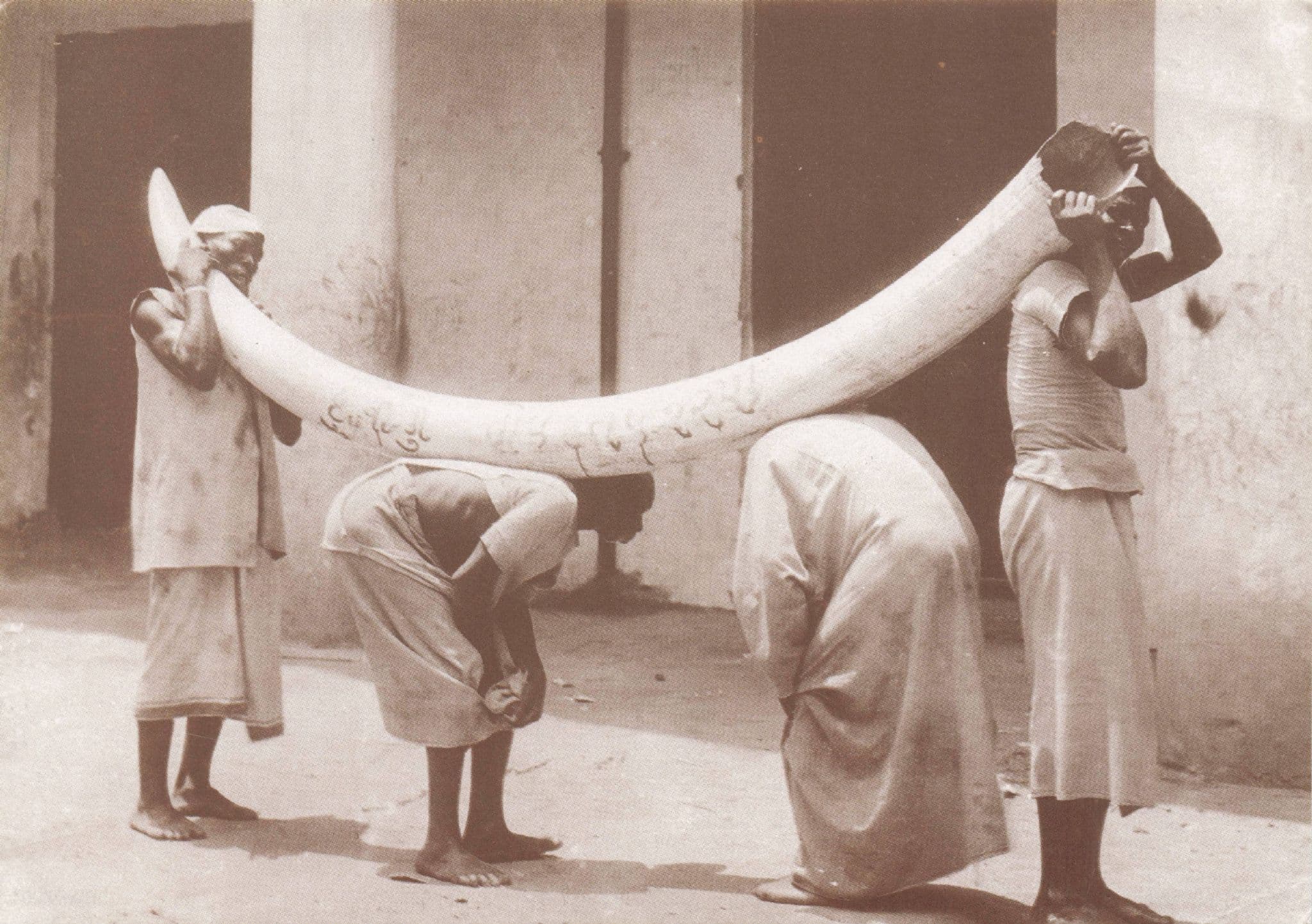 Victorian African Ivory Trade Workers Photo Postcard