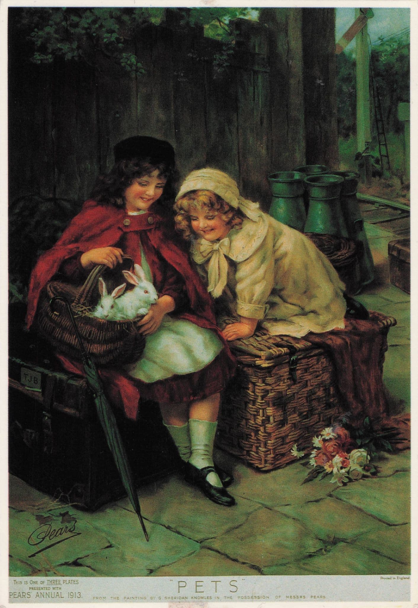 Victorian Pets Rabbits Basket Pears Soap Advertising Postcard