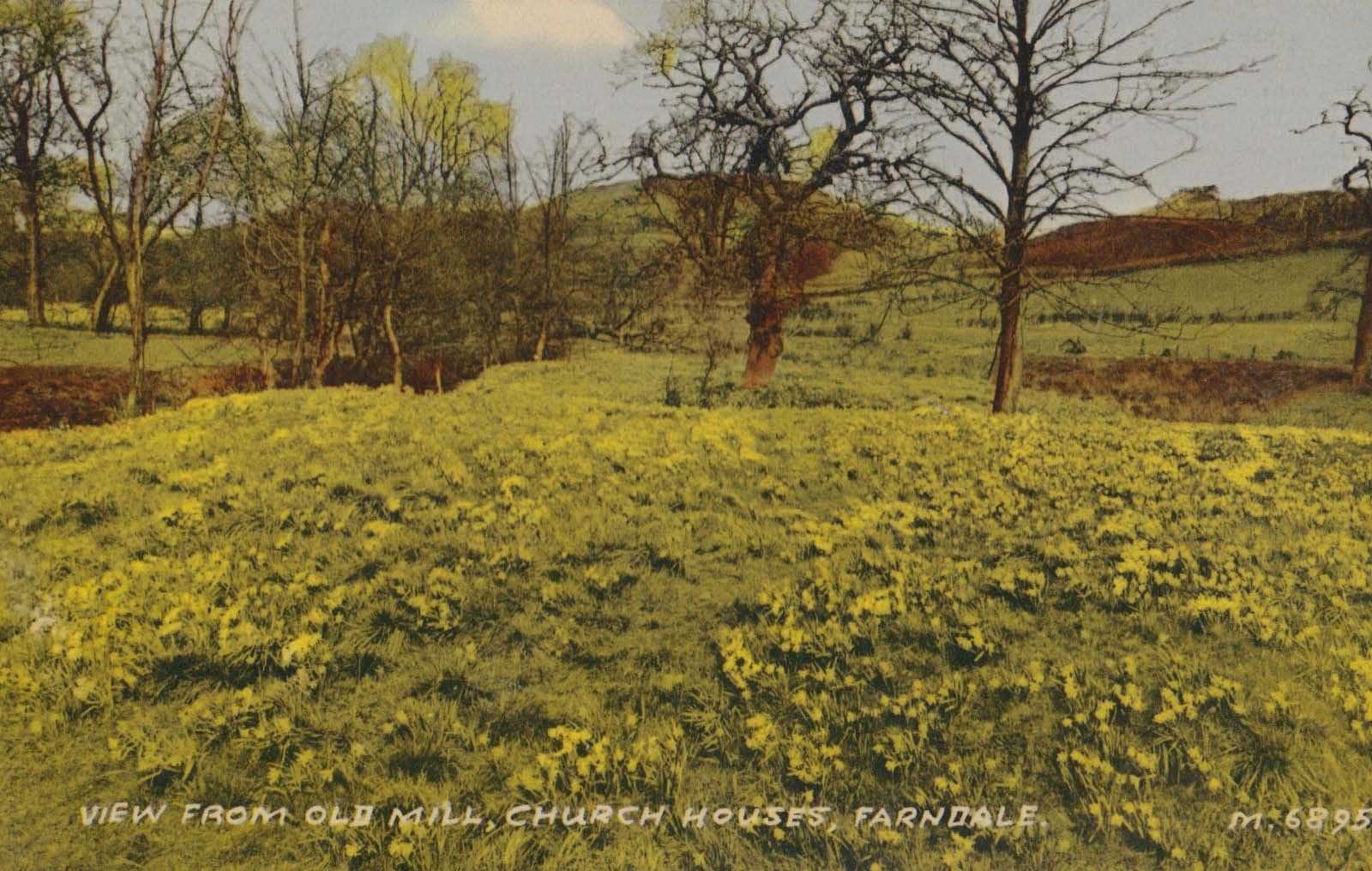 View From Old Mill Church Houses Farndale Yorkshire 1960s Mint Postcard