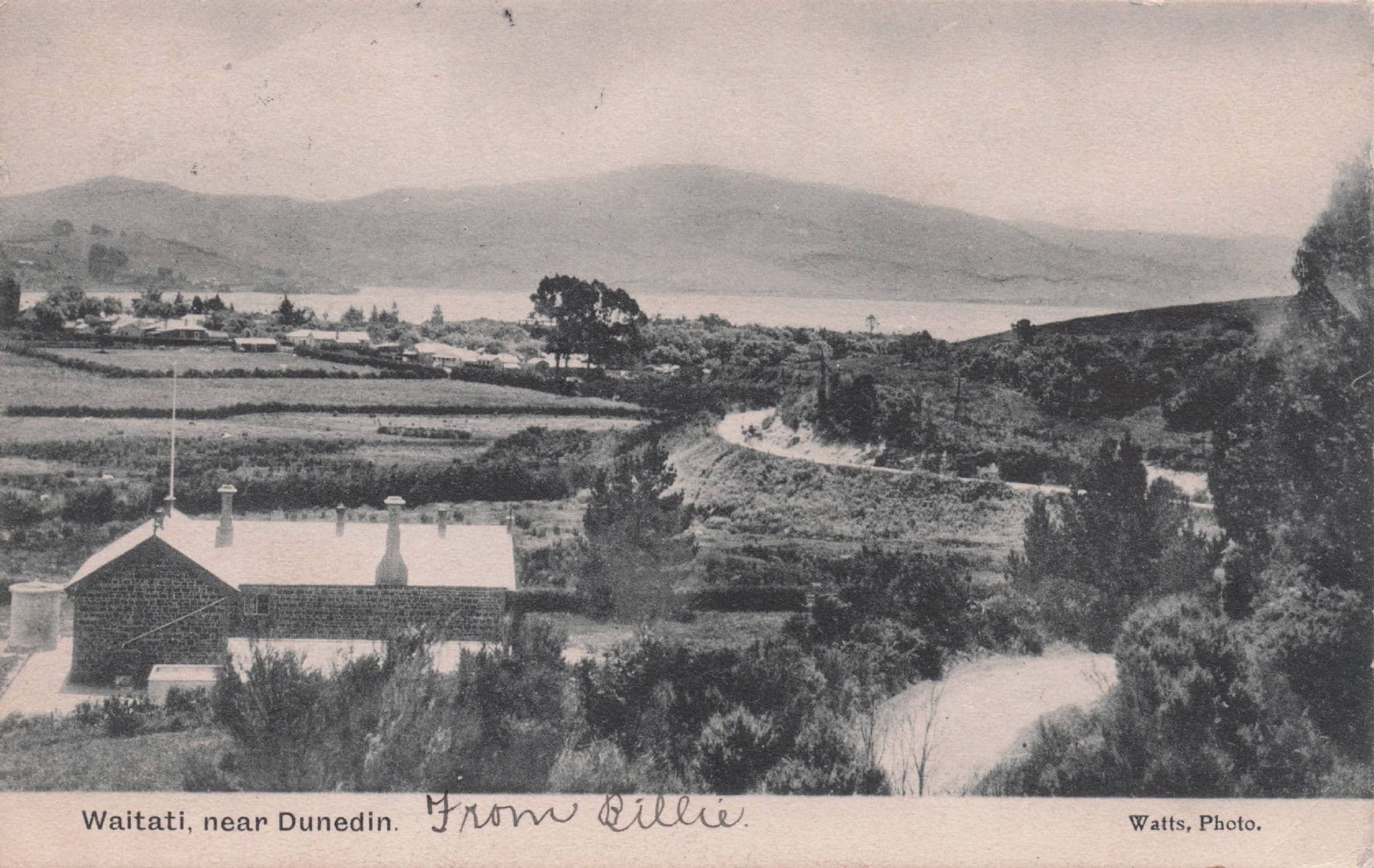 Waitati Dunedin New Zealand Antique Postcard