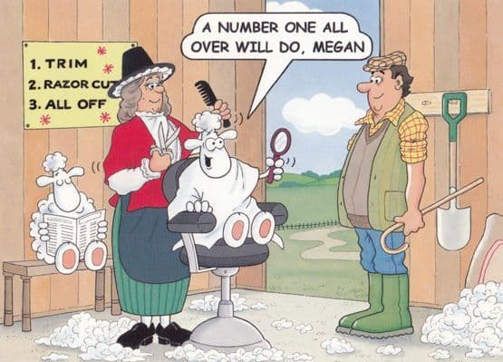 Wales Lady Hairdresser Barber Welsh Comic Humour Postcard