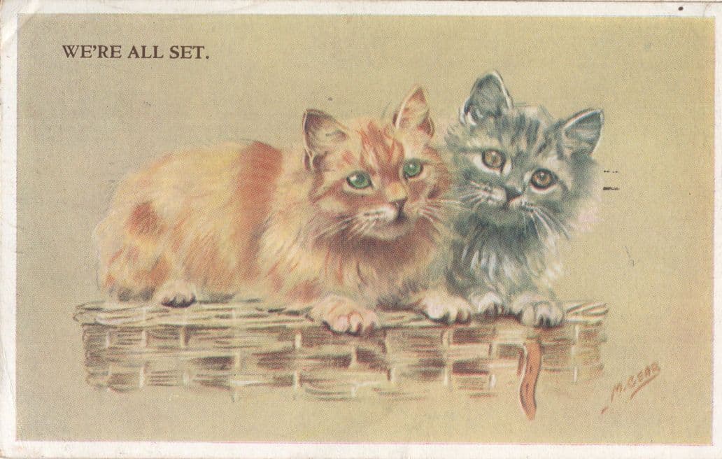 We're All Set Cats in Basket Mabel Gear Valentines Old Cat Postcard