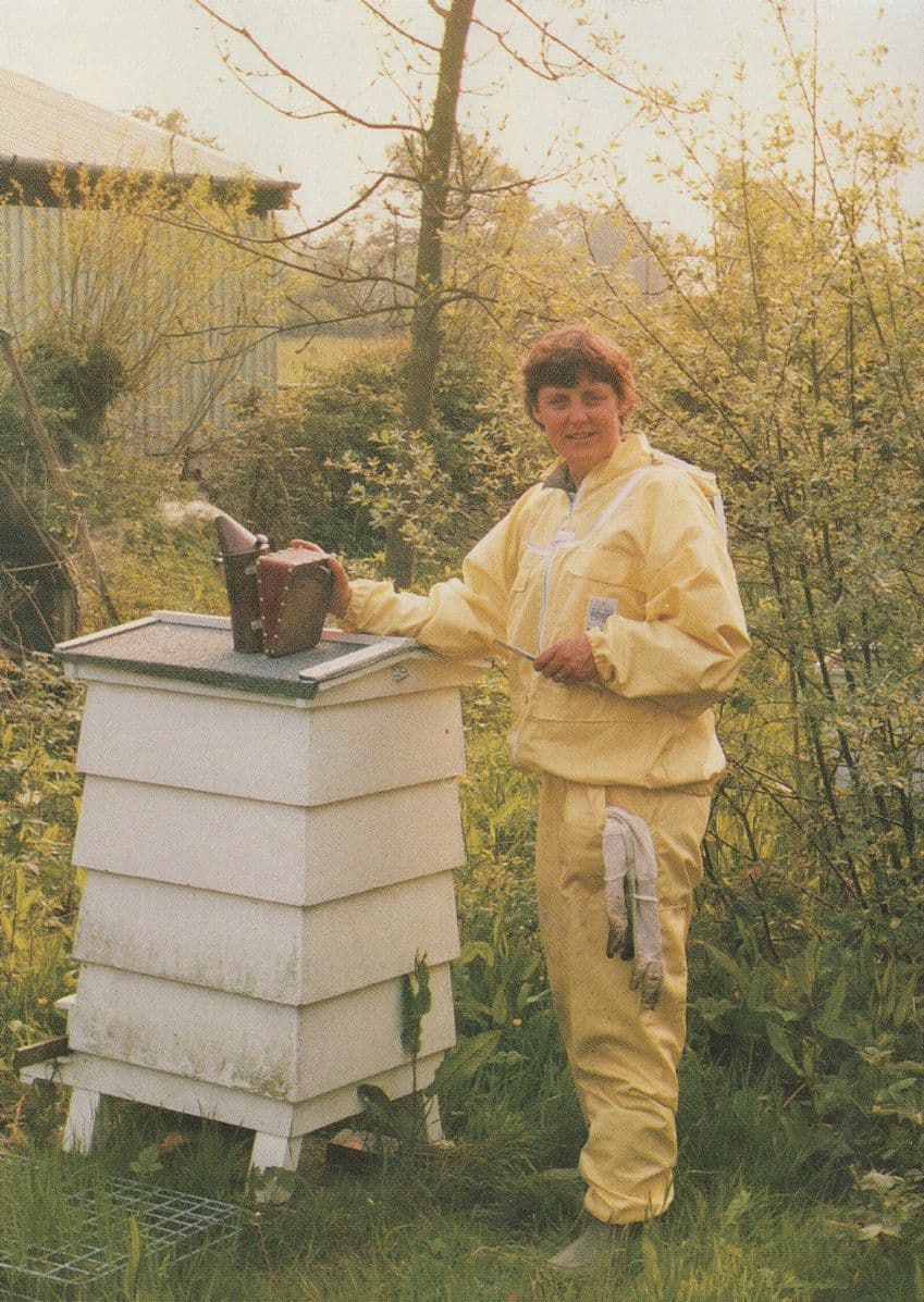 Wealdon Sussex WBC Bees Hive Beehive Roof Removal Postcard