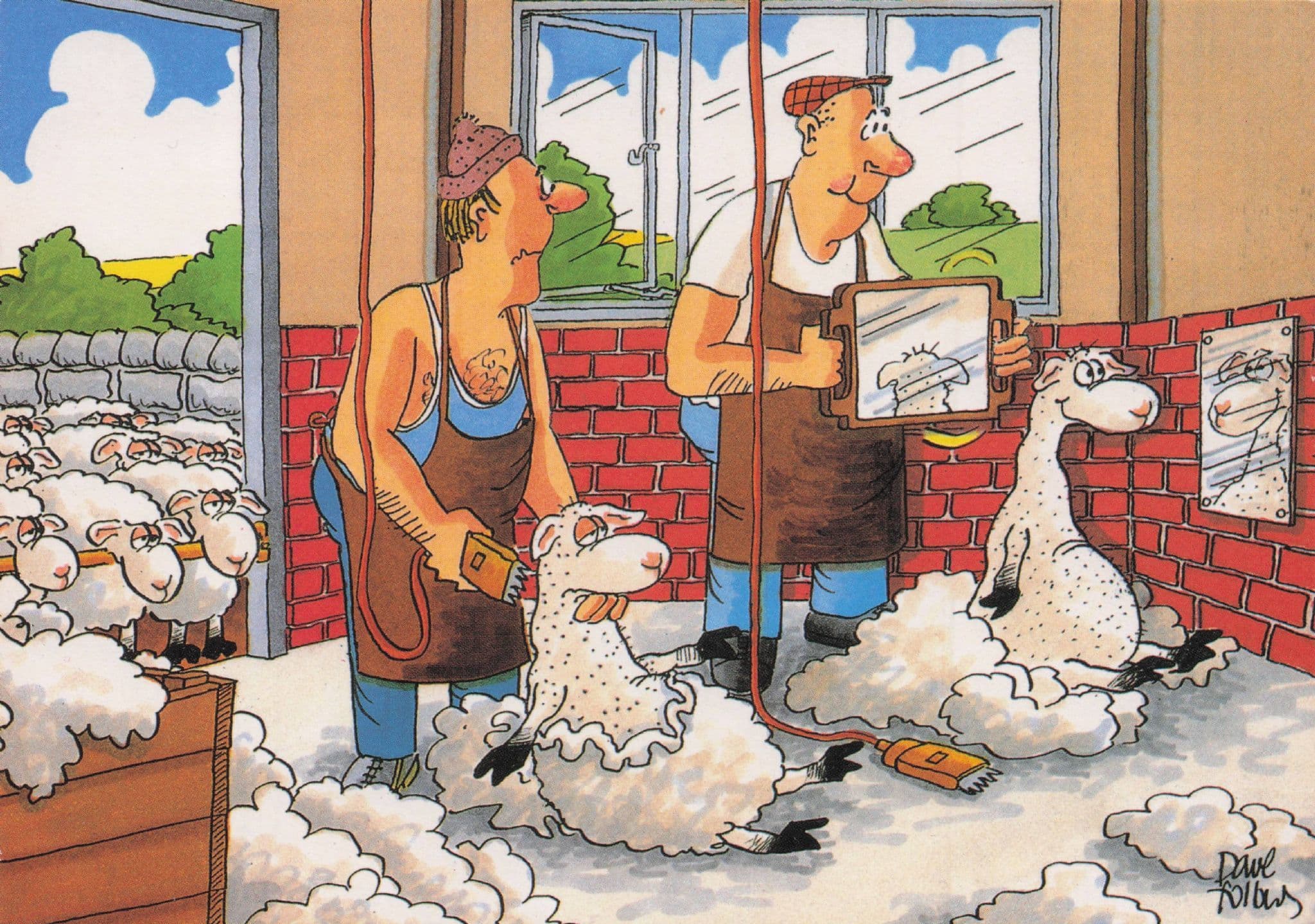 Welsh Sheep Farming Crazy Wales Animal Shearing Comic Postcard