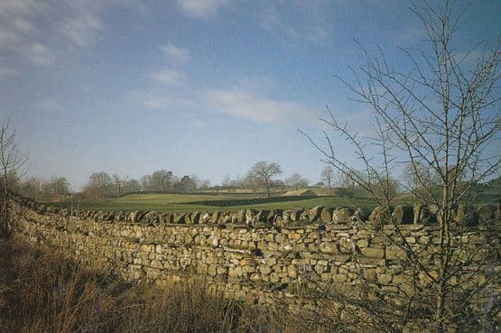 Wensleydale Dry Stone Wall Stunning Postcard