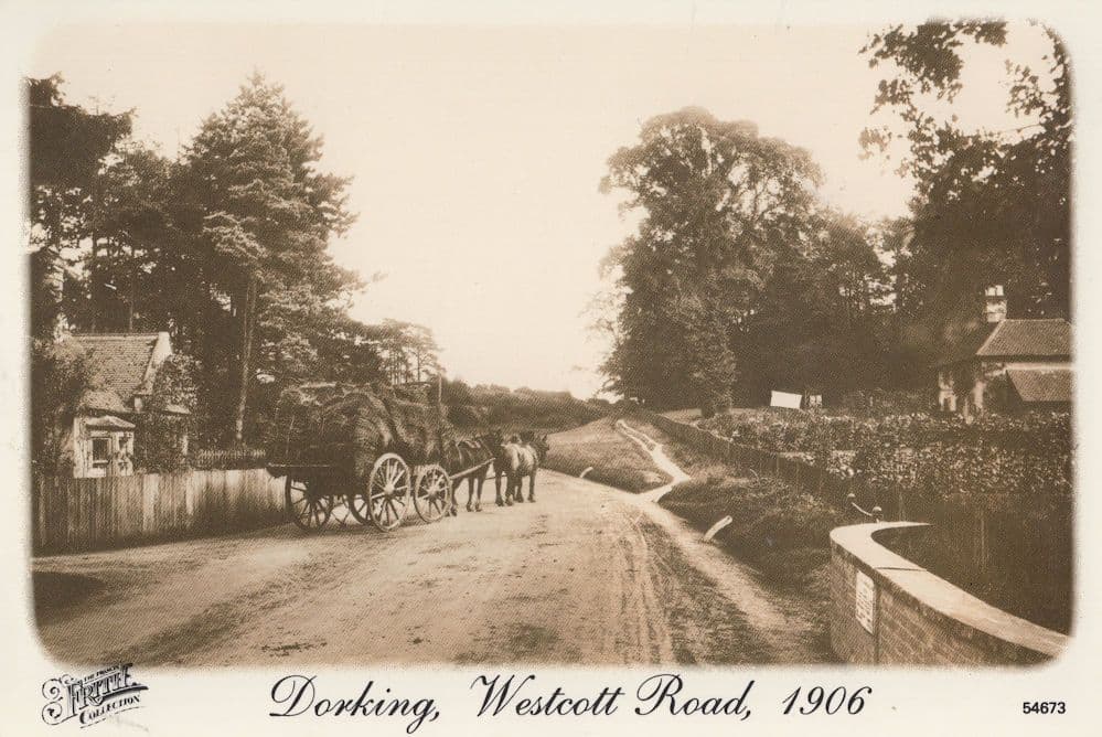 Westcott Road Dorking Surrey in 1906 Postcard