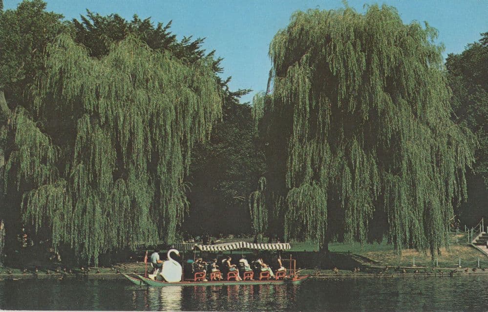 Where Is Boston Quadraphonic Swan Boat USA Postcard