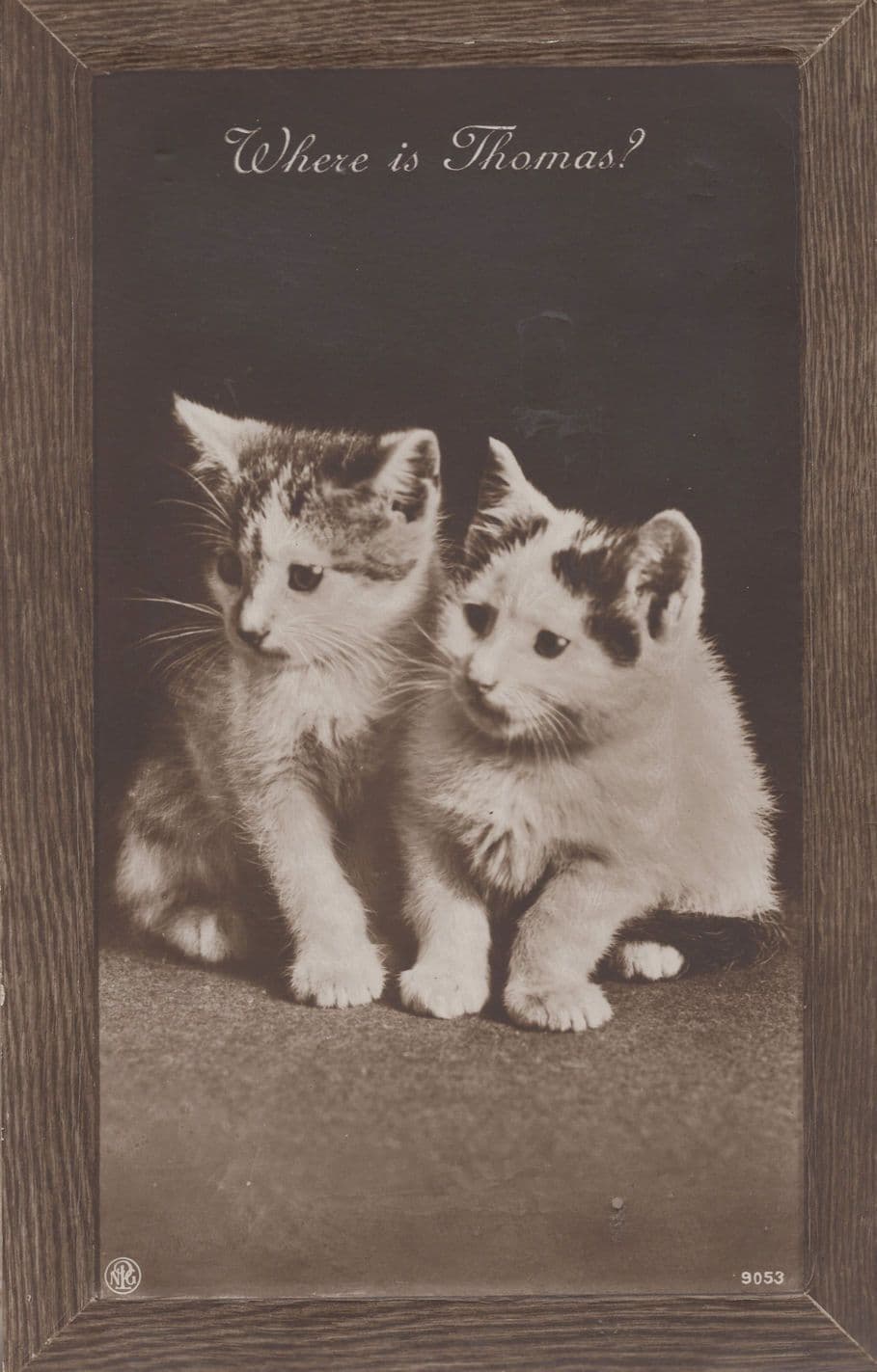 Where Is Thomas Lost Cat Antique Framed Effect Cats Postcard
