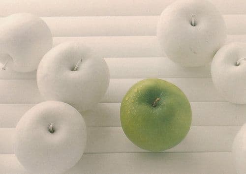 White Apple Apples Fruit Postcard