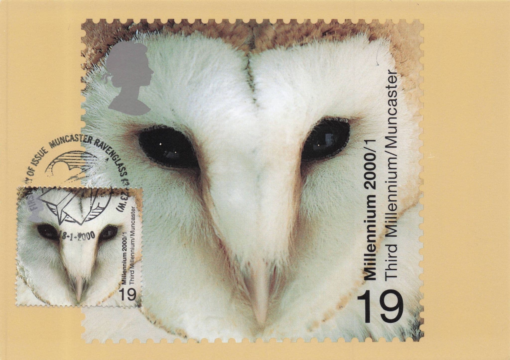 White Owl Bird Royal Mail First Day Cover Stamp Postcard