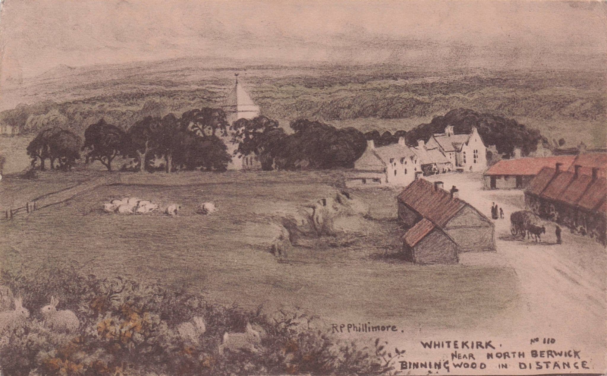 Whitekirk Binning Wood Berwick Phillimore Old Scottish Postcard