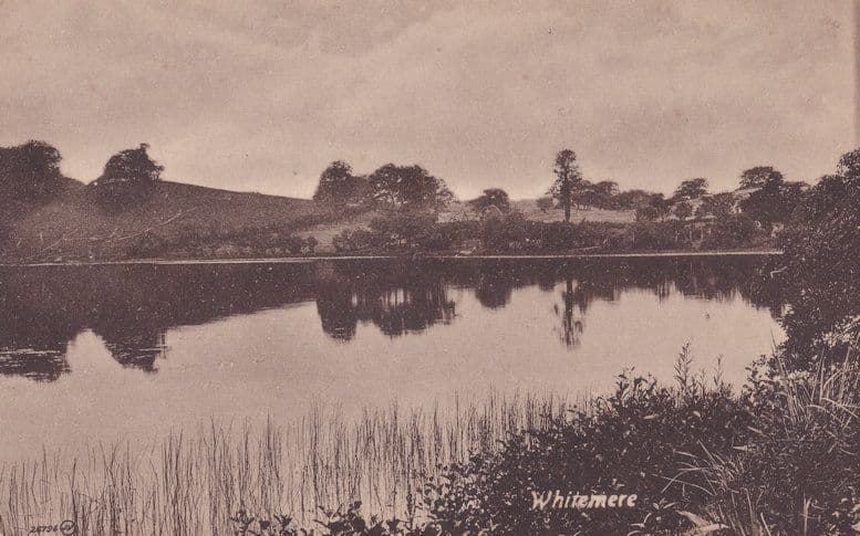 Whitemere Lake Beautiful Reflection Dover Antique Postcard