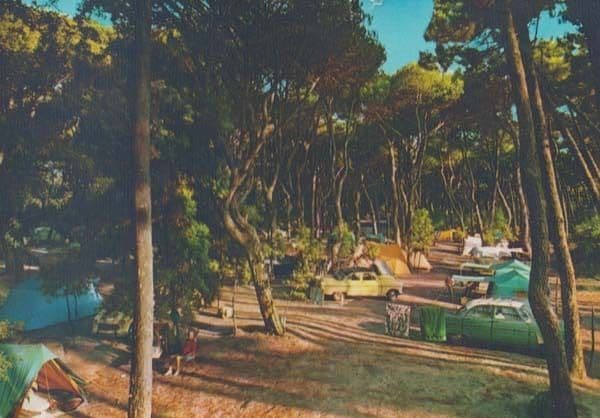 Wiareggio Camping Holiday Camp Italy Italian Postcard