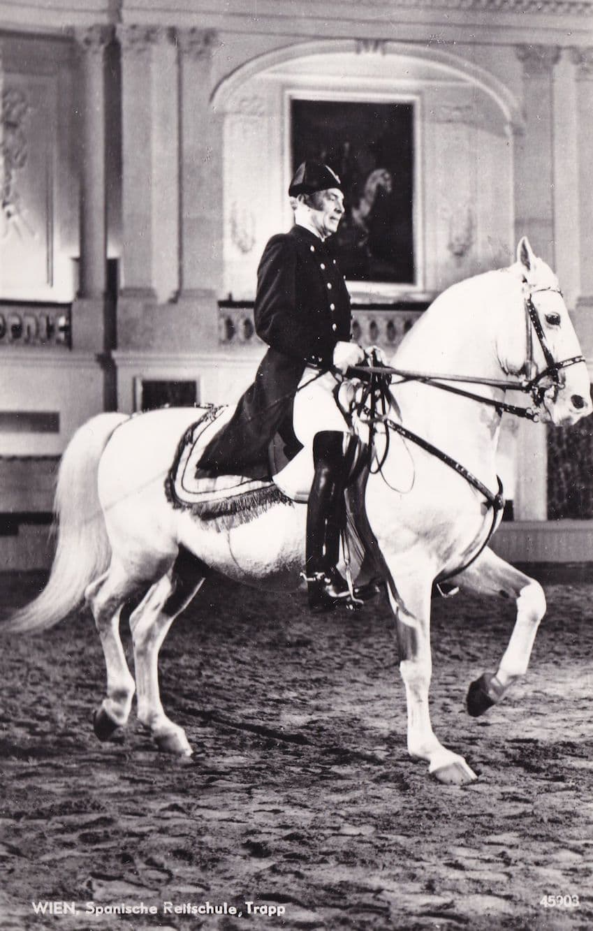 Wien Spanische Reitschule Tropp Spanish Riding School Austria Postcard