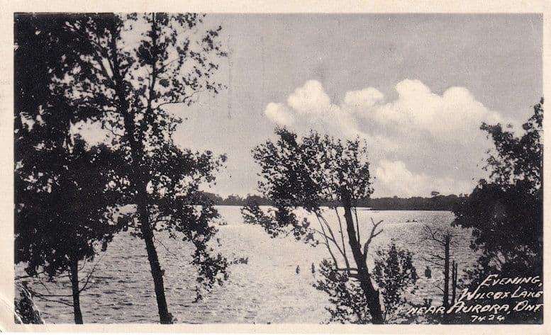 Wilcox Lake Ontario Canada Safety Convention 1936 Real Photo Postcard