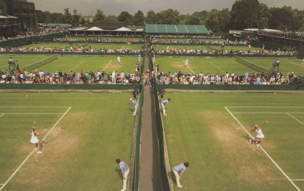 Wimbledon White Shirt Sports Outfit 1963 Rule Tennis Postcard