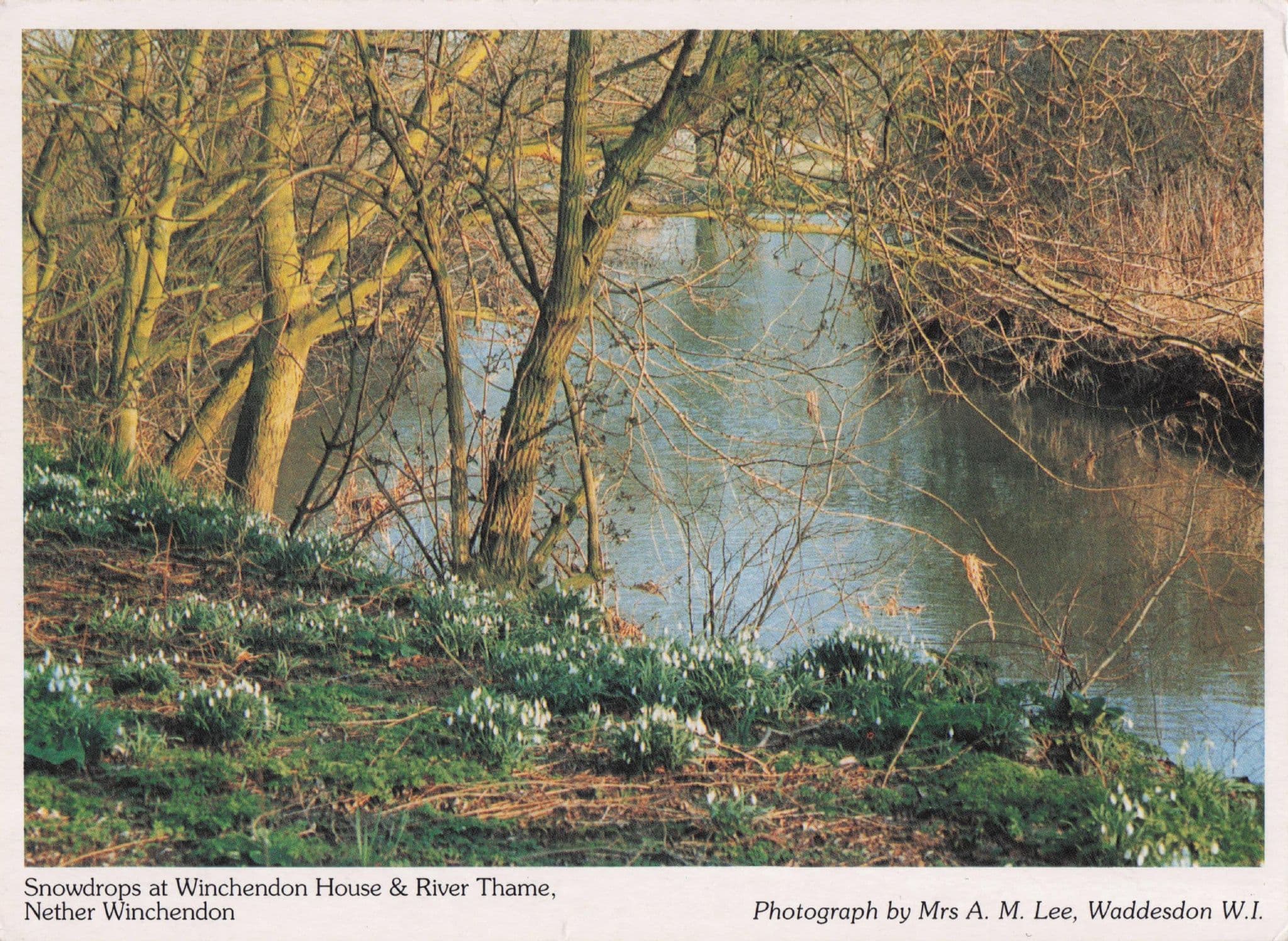 Wincherdon House River Thame Bucks Women's Institute Postcard