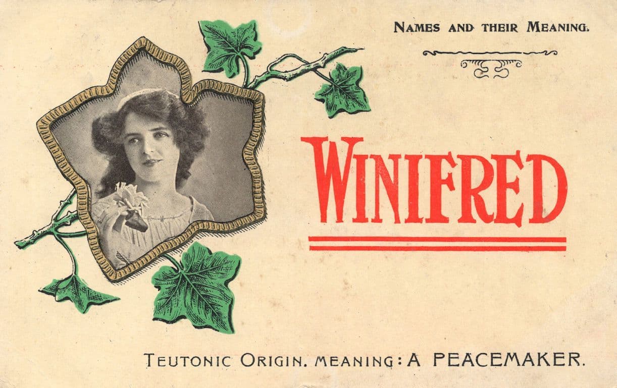 Winifred A Peacemaker Antique Meaning Of Names Old Postcard