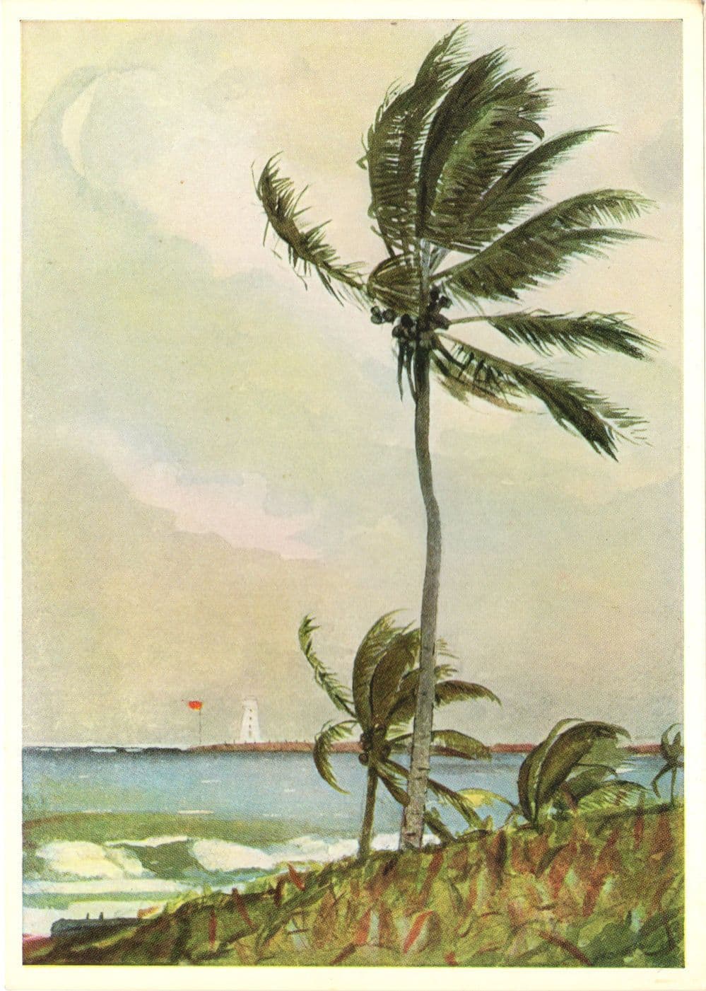 Winslow Homer Palm Tree Nassau Victorian Painting Postcard