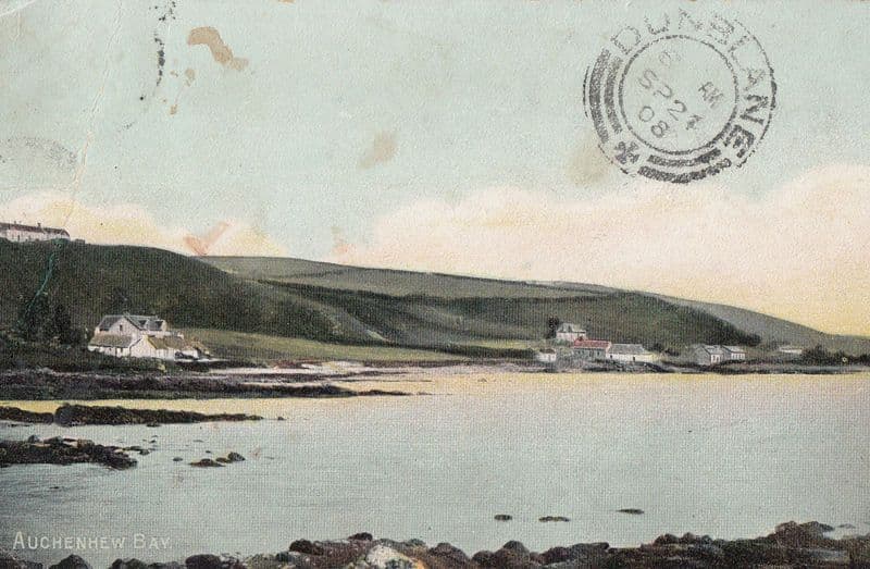 Winter Trees Galloway Scotland Postcard