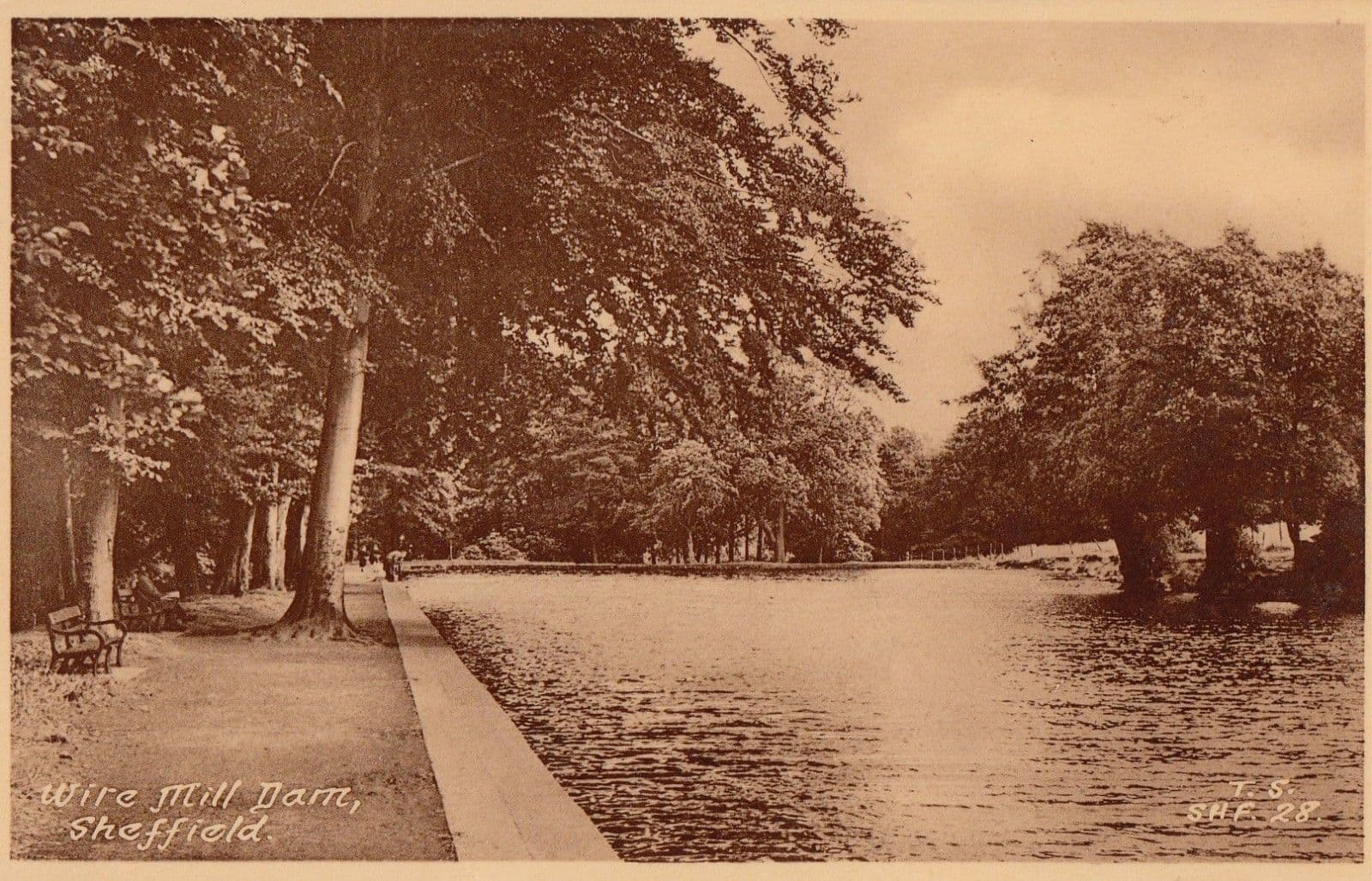 Wire Mill Dam Sheffield Antique Postcard