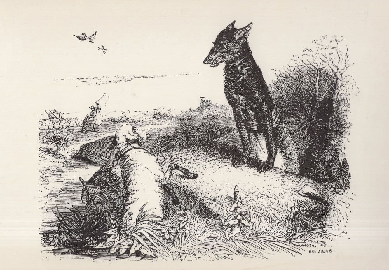 Wolf Lamb Sheep Grandville Victorian French Art Illustrator Painting Postcard