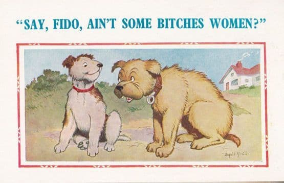 Women Are B*tches Two Dogs Talking Fido On Heat Animal Comic Humour Postcard