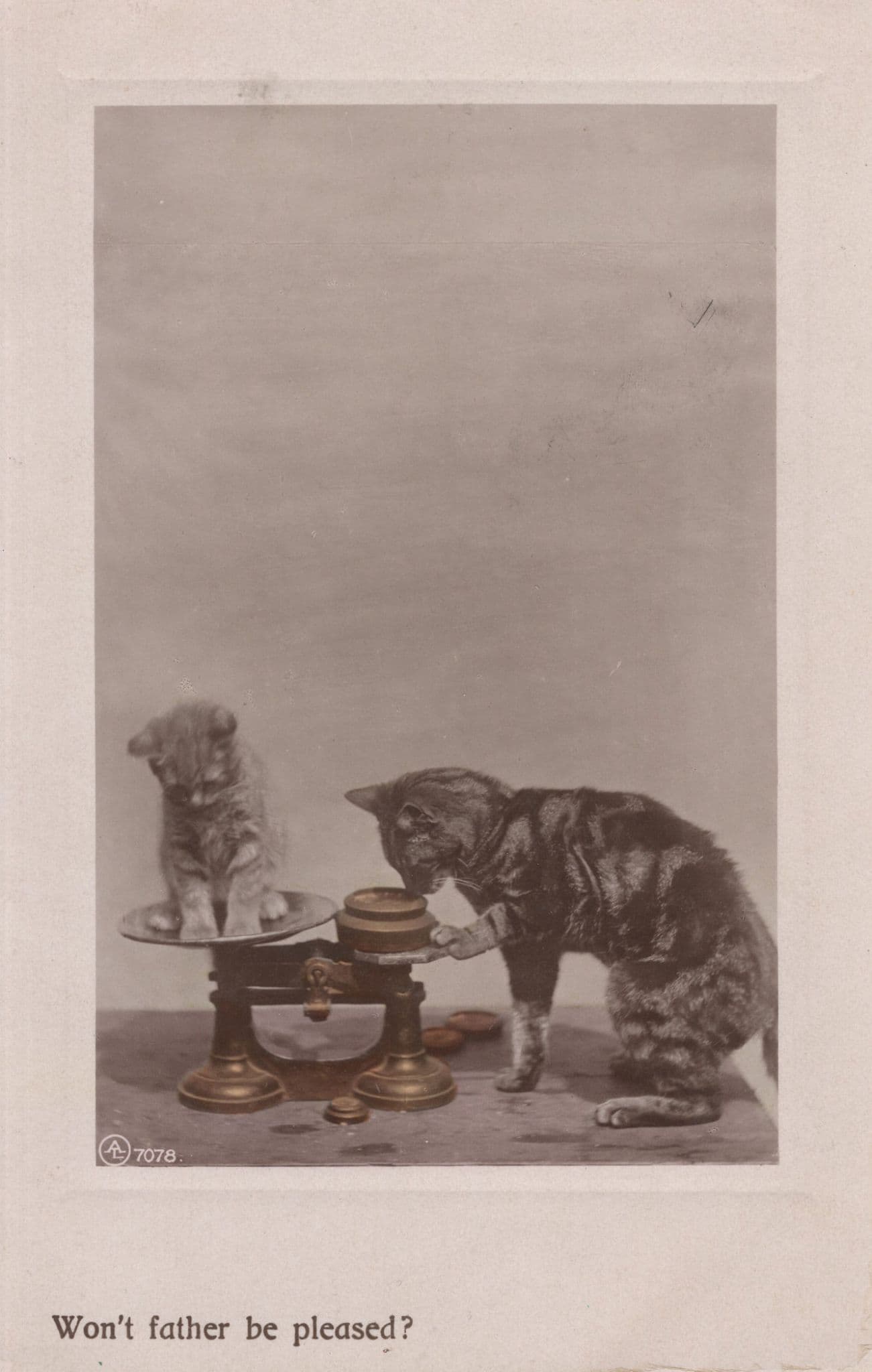 Won't Father Be Pleased Cats on Weighing Scales Antique Postcard
