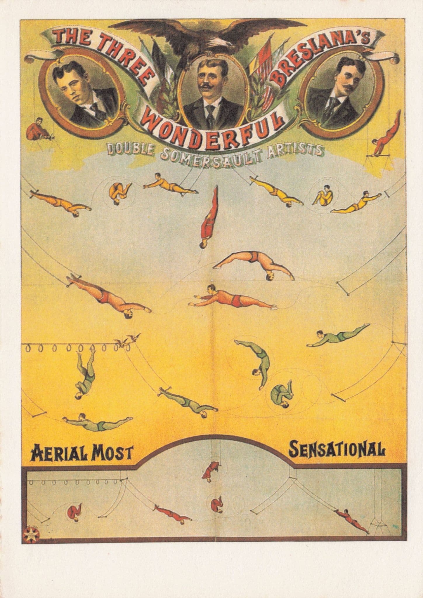 Wonderful Bresiana's Italian Acrobats Somersault Circus Poster Postcard