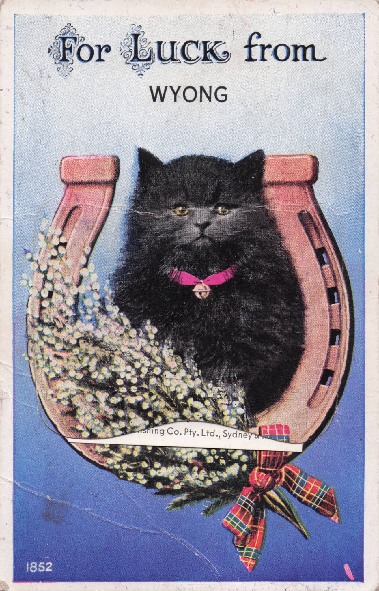 Wyong NSW Australia Black Cat RARE Old Mailing Novelty Postcard Please Read