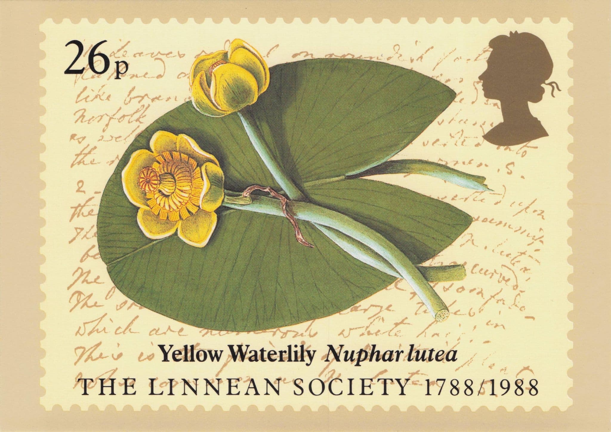 Yellow Waterlily Pondlife Plant Linnean Society Rare FDC Postcard