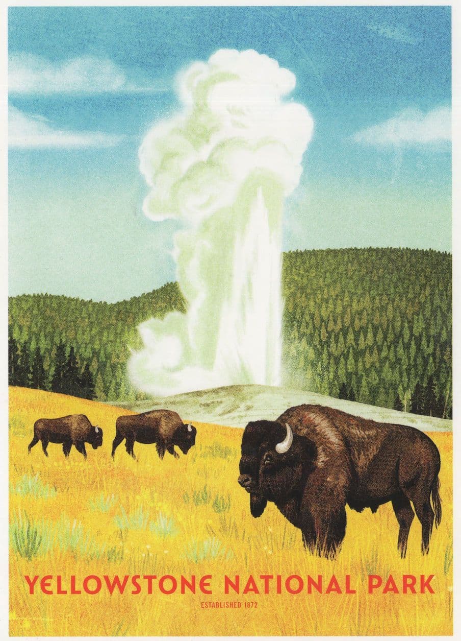 Yellowstone National Park Bison Wyoming Montana Painting USA Postcard