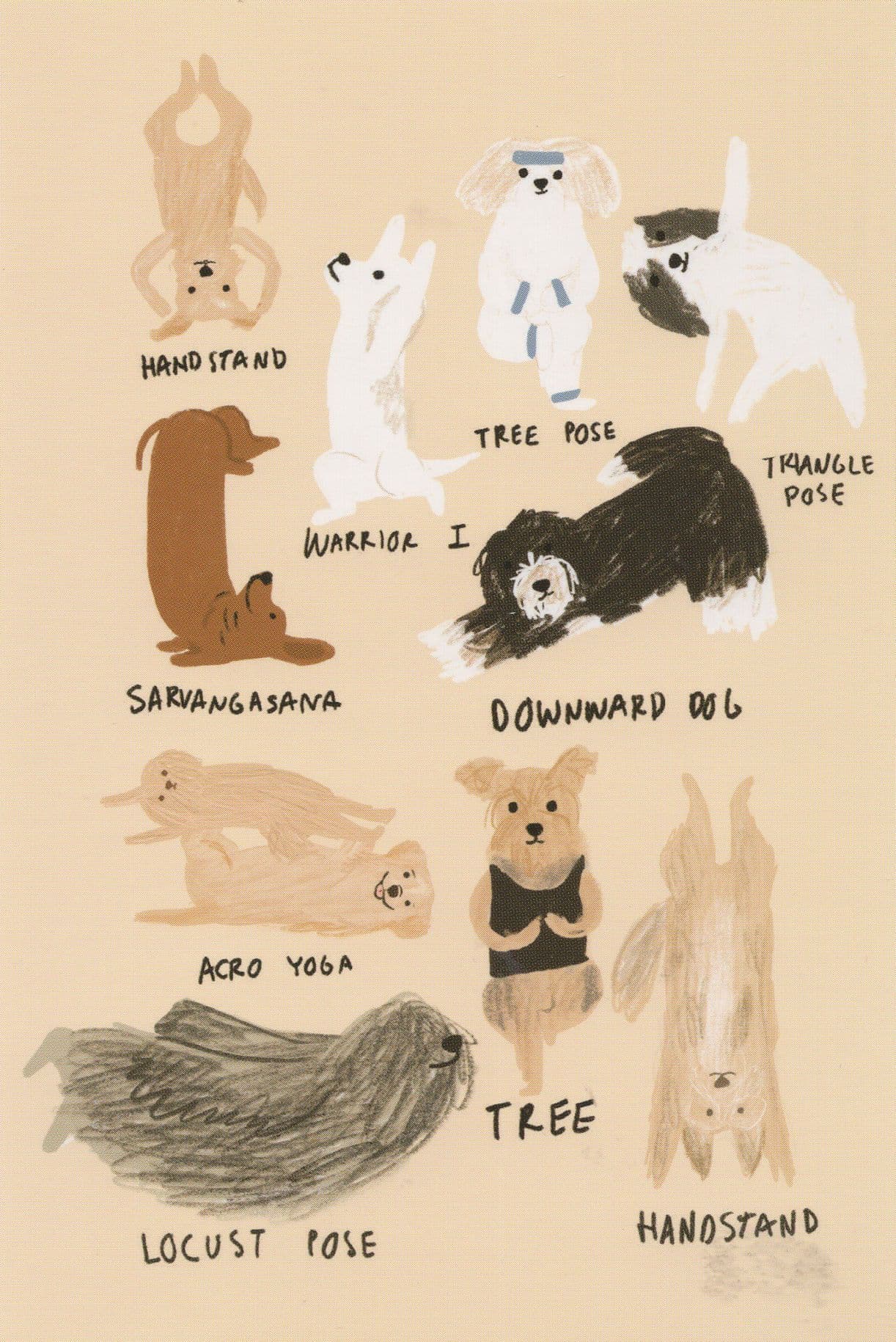 Yoga Dogs Handstand Keep Fit Lotus Position 10x Dog Postcard