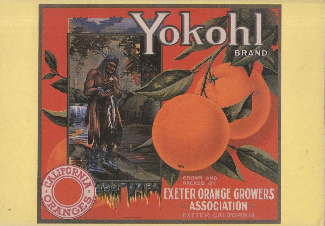 Yokohl Exeter Orange Fruit Advertising Postcard