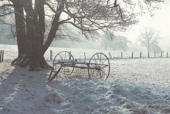 York Farmers Hay Rake at Christmas Postcard